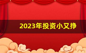 2023年投资小又挣钱的行业