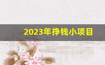 2023年挣钱小项目_2023年投资小又挣钱的行业