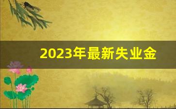 2023年最新失业金领取标准_最新领失业金政策解读