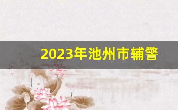 2023年池州市辅警招聘公告