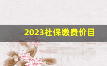 2023社保缴费价目表_灵活就业15后能领多少