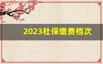 2023社保缴费档次明细