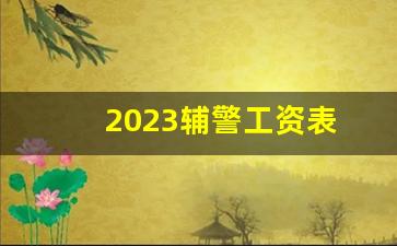 2023辅警工资表