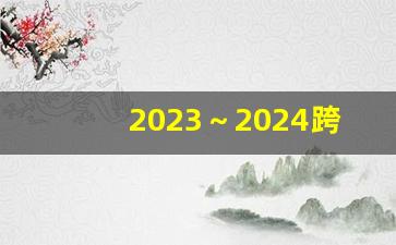 2023～2024跨年演唱会_各大卫视跨年晚会名单