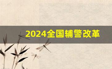 2024全国辅警改革现状