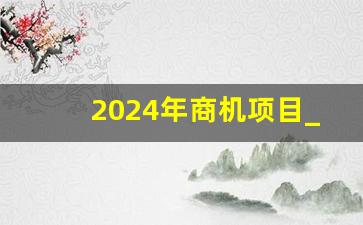 2024年商机项目_2024下一个赚钱风口