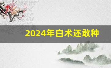 2024年白术还敢种吗