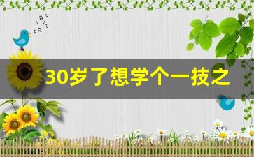 30岁了想学个一技之长