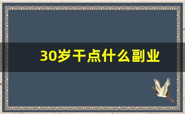 30岁干点什么副业