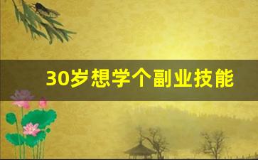 30岁想学个副业技能