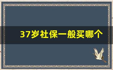 37岁社保一般买哪个档_36岁自费交社保划算吗