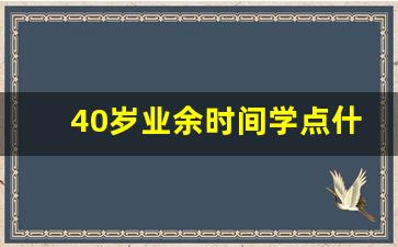 40岁业余时间学点什么_40多岁可以学点什么知识