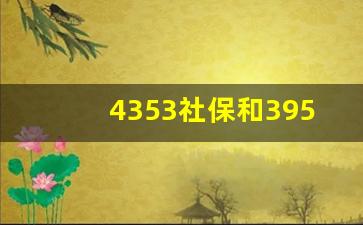 4353社保和3957的区别_社保个人扣337是哪一档