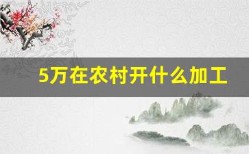 5万在农村开什么加工厂_最有前景的小型加工厂