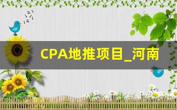 CPA地推项目_河南企帮推拉新项目怎么样