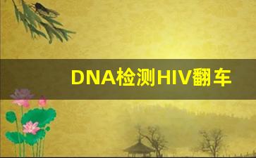 DNA检测HIV翻车_我想找个艾滋病的交流群