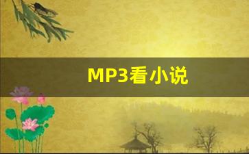 MP3看小说