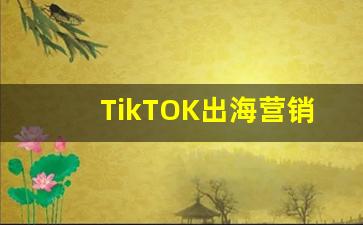 TikTOK出海营销峰会