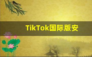 TikTok国际版安装_国际抖音tiktok色板