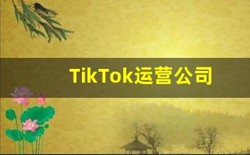 TikTok运营公司_titok代运营