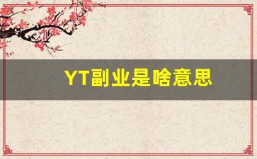 YT副业是啥意思