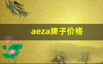 aeza牌子价格