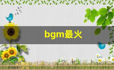 bgm最火