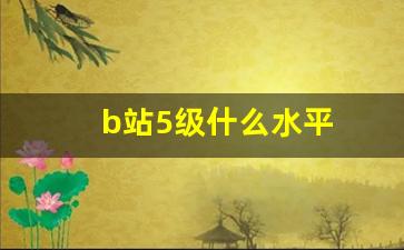 b站5级什么水平