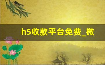 h5收款平台免费_微信收款小程序