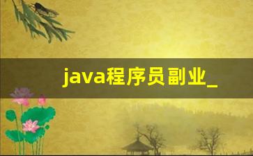 java程序员副业_程序员业余时间赚钱的8大途径