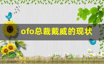 ofo总裁戴威的现状_ofo小黄车创始人戴威现状