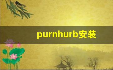 purnhurb安装包