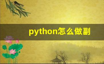 python怎么做副业