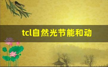 tcl自然光节能和动态怎么设置