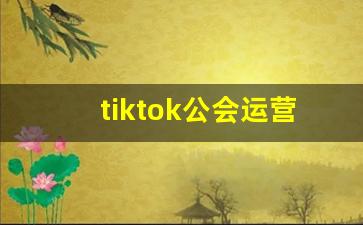 tiktok公会运营