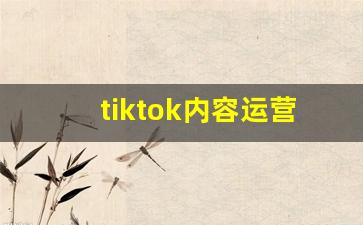 tiktok内容运营的