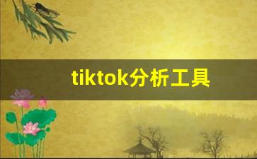 tiktok分析工具