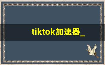 tiktok加速器_tiktok加速器免费下载