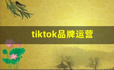 tiktok品牌运营_tiktok吧