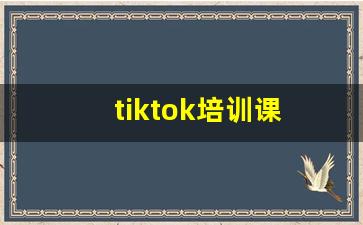 tiktok培训课