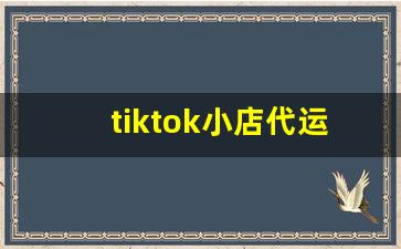 tiktok小店代运营_TikTok运营公司