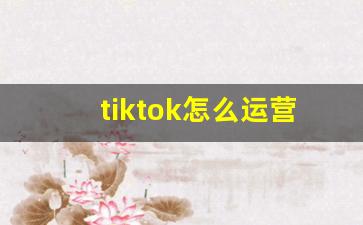 tiktok怎么运营赚钱_tiktok分析工具