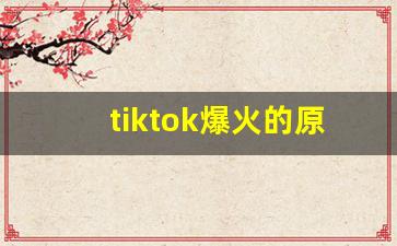 tiktok爆火的原因_tiktok很火吗