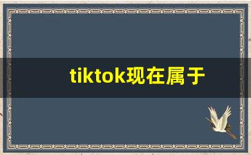 tiktok现在属于谁