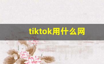 tiktok用什么网络才能看_tiktok下载之后看不了怎么办