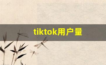 tiktok用户量