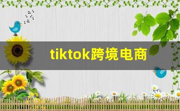 tiktok跨境电商怎么做