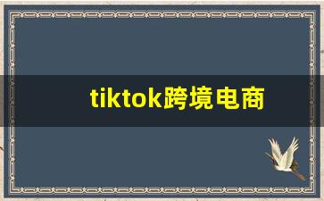 tiktok跨境电商运营教程_tiktok卖产品