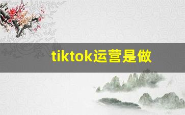 tiktok运营是做什么的_做tiktok需要投资多少钱