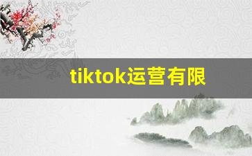 tiktok运营有限公司